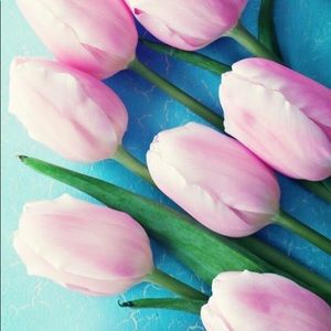 Meet your Posher, Tawanna